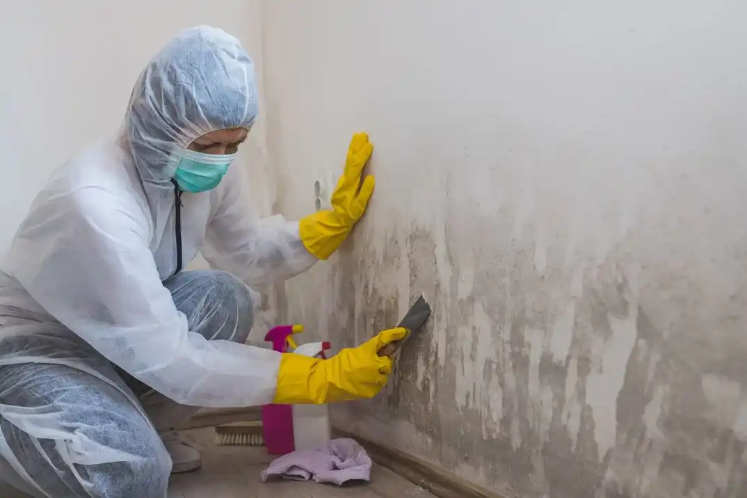 water damage restoration service Century West